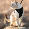 Ausbruchssicheres Katzen-Geschirr mit Leine - Weiches, verstellbares Vest mit EasyControl für sichere Spaziergänge