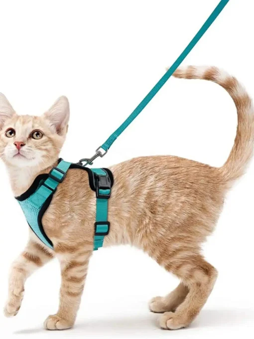 Ausbruchssicheres Katzen-Geschirr mit Leine - Weiches, verstellbares Vest mit EasyControl für sichere Spaziergänge