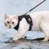 Ausbruchssicheres Katzen-Geschirr mit Leine - Weiches, verstellbares Vest mit EasyControl für sichere Spaziergänge