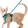 Ausbruchssicheres Katzen-Geschirr mit Leine - Weiches, verstellbares Vest mit EasyControl für sichere Spaziergänge