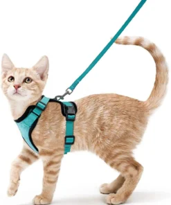S6143eab7bfa1460ba7109e021d1c2eedw.webp Ausbruchssicheres Katzen-Geschirr mit Leine - Weiches, verstellbares Vest mit EasyControl für sichere Spaziergänge