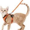 Ausbruchssicheres Katzen-Geschirr mit Leine - Weiches, verstellbares Vest mit EasyControl für sichere Spaziergänge