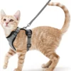 Ausbruchssicheres Katzen-Geschirr mit Leine - Weiches, verstellbares Vest mit EasyControl für sichere Spaziergänge