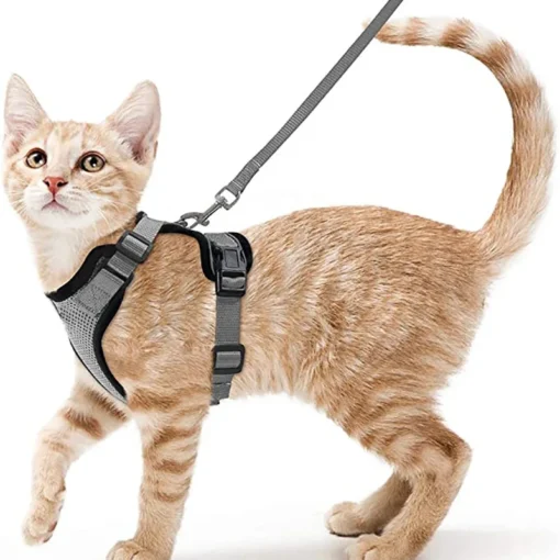 Ausbruchssicheres Katzen-Geschirr mit Leine - Weiches, verstellbares Vest mit EasyControl für sichere Spaziergänge