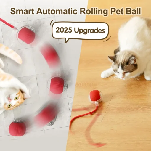 Intelligentes interaktives Katzenball-Spielzeug - Automatischer Rollball mit beweglichem Schwanz, wiederaufladbare intelligente Maus für Katzen